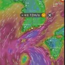 빅베어마린 이미지