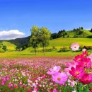 아름다운 이미지