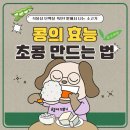 식물성 단백질 ‘콩’ 놀라운 효능 초콩 만들기 (+유방암, 자근근종)