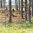 철원 평화마을  유곡 캠핑장 이미지