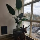 대우조선 복합업무지원단지 이미지