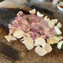 인형의 거리(뱀) 이미지