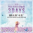 금마늘마을 이미지