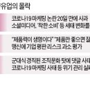 법률사무소남양 이미지