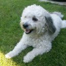 똘똘이네 이미지