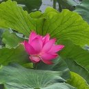 문제인행정사사무소 | 중국에서 사망한 중국인 부친 유해 한국으로 운구 후 봉안당 안치 등 신속조치(2026.03.29)