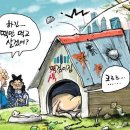 거짓말 악덕업체의 `상속세` 내지않으려한 졸라 꼼슈 (발끈해 댓통령의 1000억 미만 업체에 상속세 면제는 동생 `박지만의 EG그룹`에 면죄부 주기 위한 것) 이미지