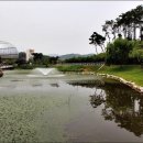 안성맞춤랜드 이미지