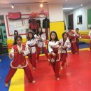 경희대 박사 Tiger kicks 태권도 이미지