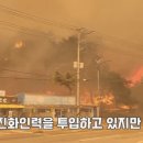 강릉 산불 소방대응 3단계 발령…강풍에 헬기 못떠 이미지