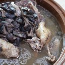 송백로-3 이미지