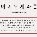 세라톤 Daum카페
