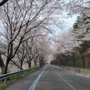 토하펜션 | 전남 여행 (2024/4/2) - 곡성, 화엄사, 하동 십리, 화개장터 ,사성암