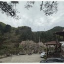 솔방울펜션