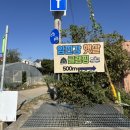 임진강 햇살 글램핑 이미지