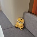 삼성사랑니졸업치과의원 | [월요행복채집][9/1][9월잘살자♡][아침운동][삼성사랑니졸업치과][서울대입구사랑니발치치과]