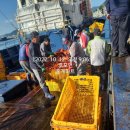 후포리수산물마트 이미지