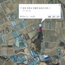 도산소류지 Daum카페