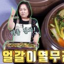 얼갈이 열무 물김치 맛있게 담그기 이미지