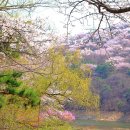 희원 이미지