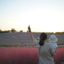 코스모스치과의원 이미지