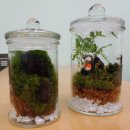 힐링마켓 이미지