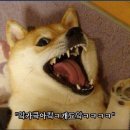 월 이미지