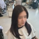 유미헤어센스