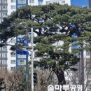 이삭토스트 정관모전점 이미지