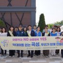 전라남도 곡성군청 곡성투데이