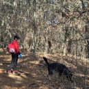 주약경로당 이미지