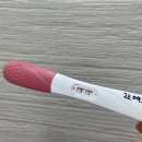 김정규의원 | [임신 4-8주차] 23.09.01 아기천사가 찾아왔어요 👶🏻