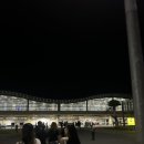 필리조트 | 필리필 보홀 0.5박 입국팩 시원리조트와 나팔링 내돈내산 후기