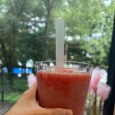 라떼킹광주