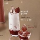 폴바셋연세와