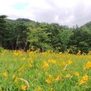 지리산숲속수목가옥 이미지