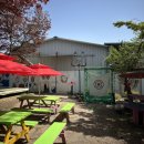 늘푸른농장 1 | 일산 주말농장 추천/늘푸른주말농장/내돈내산 1