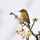 인생길 험하고 마음지쳐 이미지