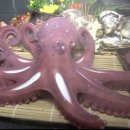 중화동-043 이미지