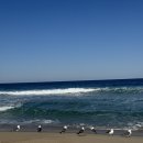 이마트24self강릉난설점 | [강릉] 신혼여행으로 강릉간 사람 나야나!!