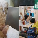 원광대학교 보건·보완의학대학원 이미지