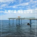 묵호바다협동조합 | 동해 묵호 가볼만한곳 도째비골 해랑전망대 낮과 밤 풍경 비교