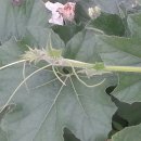 율이농장 이미지