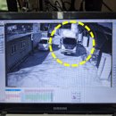 진수농장 이미지