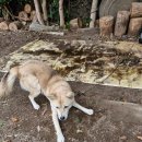 우영농장 이미지