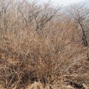 노고단-1 이미지