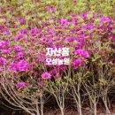 오성농원 이미지