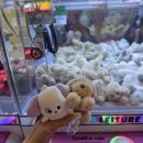 여름을 맞이하는 6월 일상[자유부인, 브런치, 아기체육관×베이비뵨바운서, 국립생태원, 헤드스파]