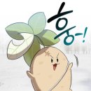 도닥이