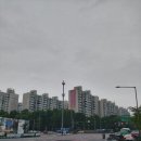 선광2호 이미지